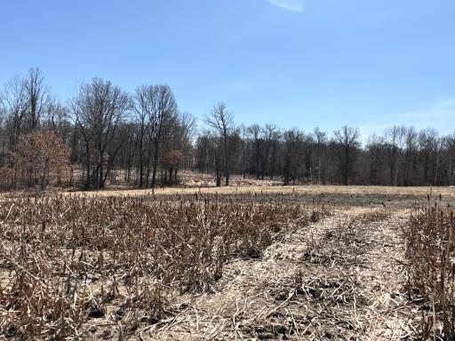 9991 61st Avenue SW, Motley, MN 56466