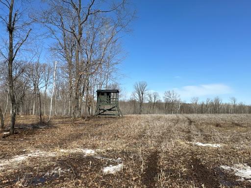 9991 61st Avenue SW, Motley, MN 56466
