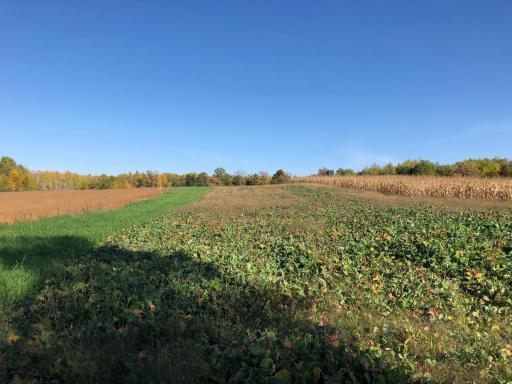 9991 61st Avenue SW, Motley, MN 56466