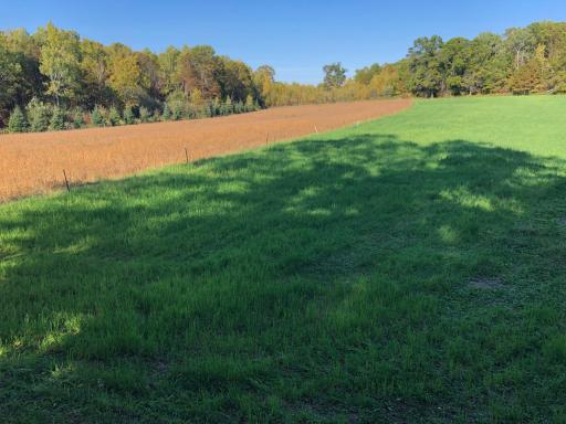 9991 61st Avenue SW, Motley, MN 56466