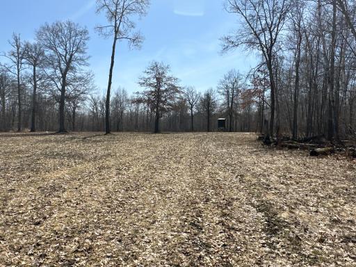 9991 61st Avenue SW, Motley, MN 56466