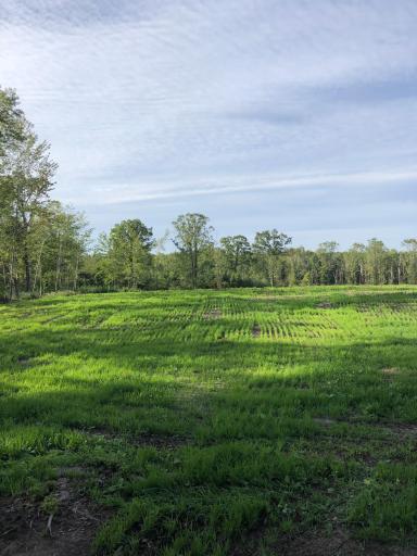 9991 61st Avenue SW, Motley, MN 56466