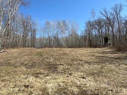 9991 61st Avenue SW, Motley, MN 56466