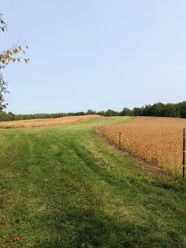 9991 61st Avenue SW, Motley, MN 56466