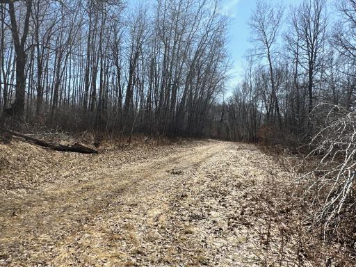 9991 61st Avenue SW, Motley, MN 56466