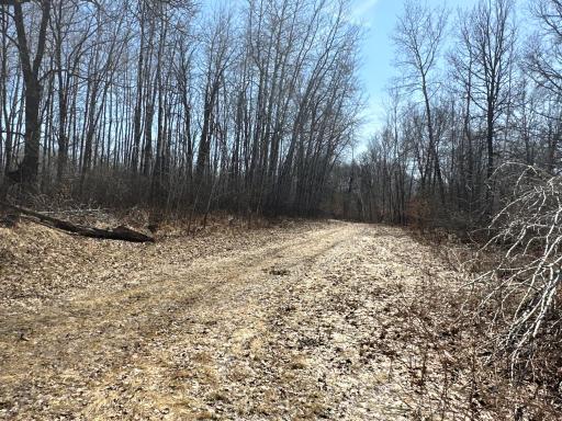 9991 61st Avenue SW, Motley, MN 56466