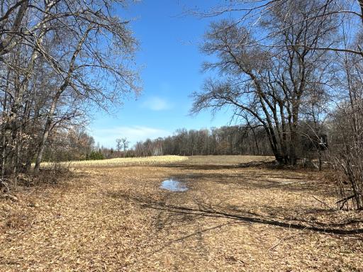 9991 61st Avenue SW, Motley, MN 56466