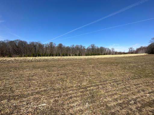 9991 61st Avenue SW, Motley, MN 56466