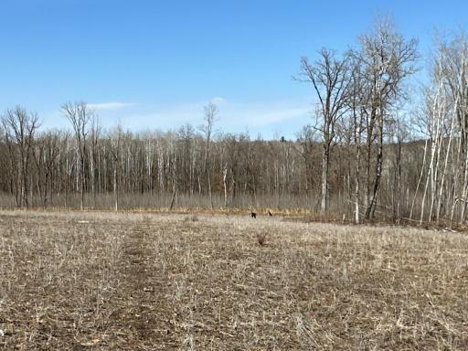 9991 61st Avenue SW, Motley, MN 56466
