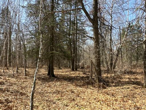 9991 61st Avenue SW, Motley, MN 56466