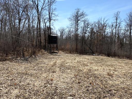 9991 61st Avenue SW, Motley, MN 56466