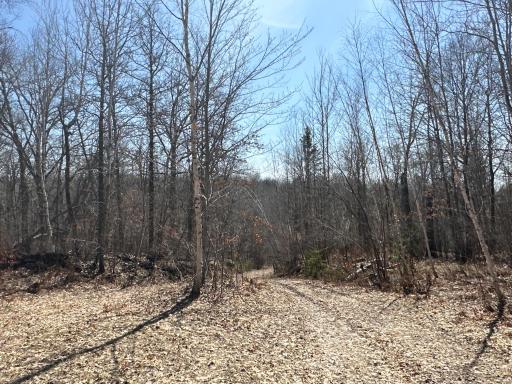 9991 61st Avenue SW, Motley, MN 56466