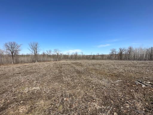 9991 61st Avenue SW, Motley, MN 56466