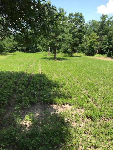 9991 61st Avenue SW, Motley, MN 56466