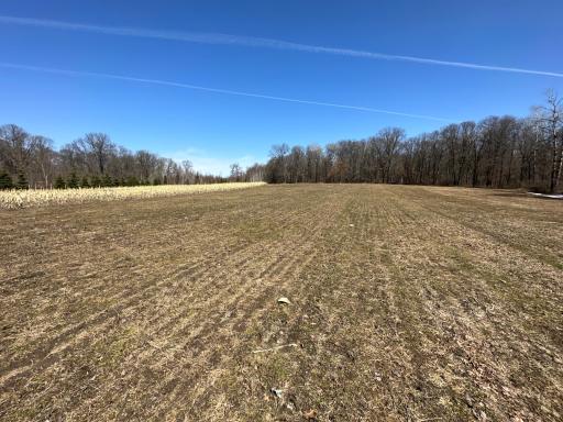 9991 61st Avenue SW, Motley, MN 56466