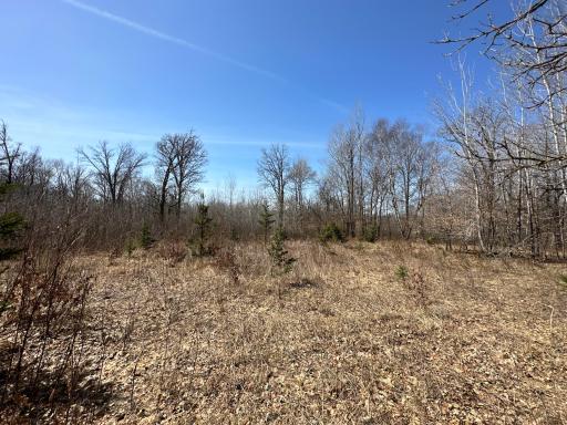 9991 61st Avenue SW, Motley, MN 56466