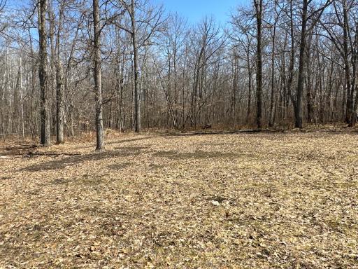 9991 61st Avenue SW, Motley, MN 56466