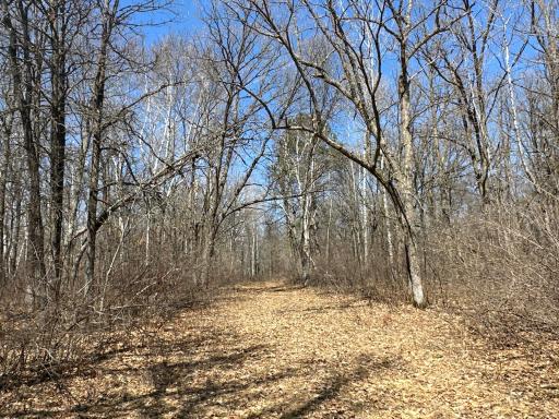 9991 61st Avenue SW, Motley, MN 56466