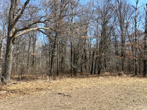 9991 61st Avenue SW, Motley, MN 56466