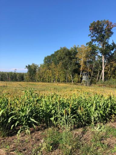 9991 61st Avenue SW, Motley, MN 56466