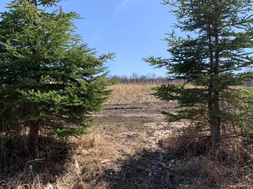 9991 61st Avenue SW, Motley, MN 56466