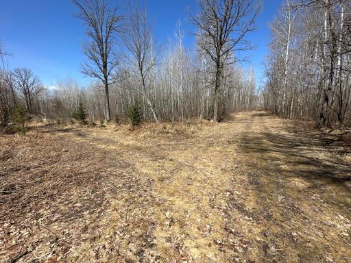 9991 61st Avenue SW, Motley, MN 56466