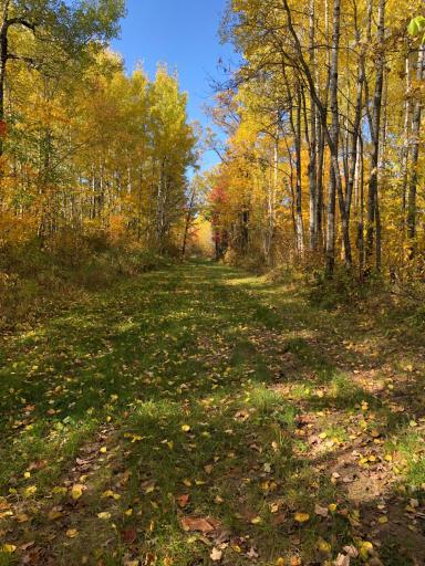 9991 61st Avenue SW, Motley, MN 56466
