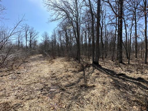 9991 61st Avenue SW, Motley, MN 56466