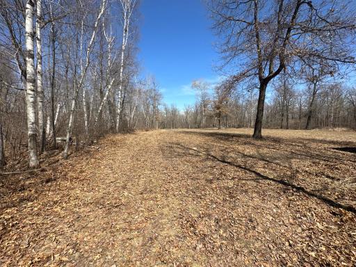 9991 61st Avenue SW, Motley, MN 56466