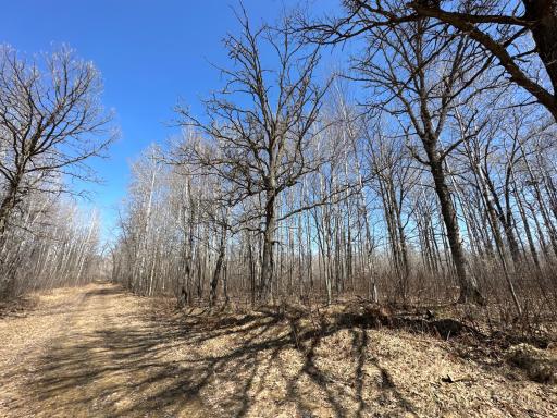 9991 61st Avenue SW, Motley, MN 56466