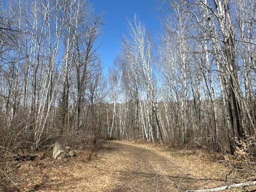 9991 61st Avenue SW, Motley, MN 56466