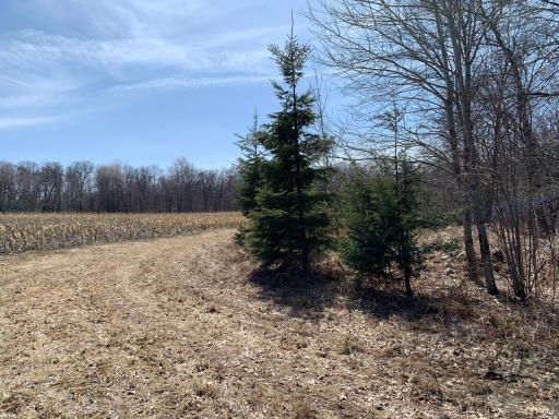 9991 61st Avenue SW, Motley, MN 56466