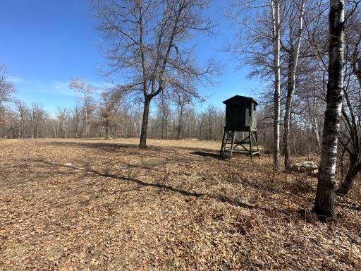 9991 61st Avenue SW, Motley, MN 56466