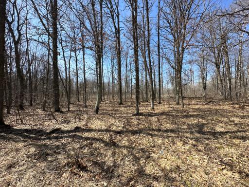 9991 61st Avenue SW, Motley, MN 56466