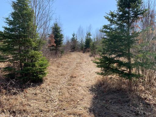 9991 61st Avenue SW, Motley, MN 56466
