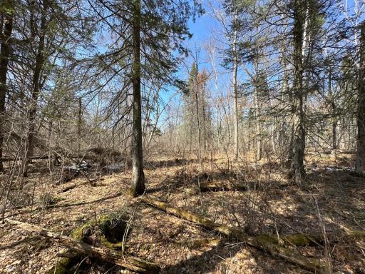 9991 61st Avenue SW, Motley, MN 56466