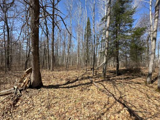 9991 61st Avenue SW, Motley, MN 56466