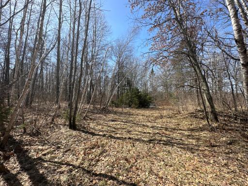9991 61st Avenue SW, Motley, MN 56466
