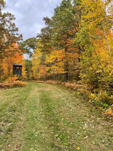 9991 61st Avenue SW, Motley, MN 56466