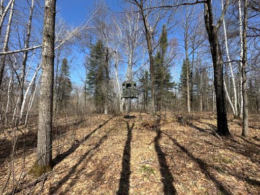 9991 61st Avenue SW, Motley, MN 56466