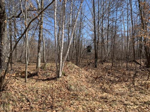 9991 61st Avenue SW, Motley, MN 56466