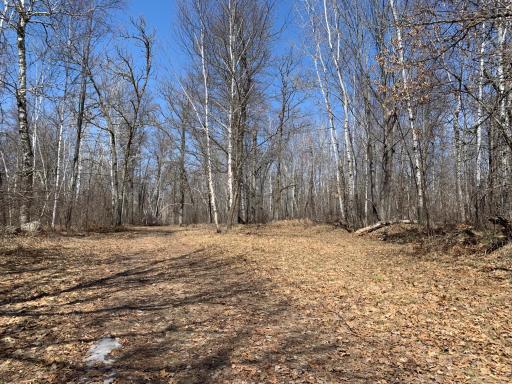 9991 61st Avenue SW, Motley, MN 56466