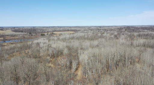 9991 61st Avenue SW, Motley, MN 56466