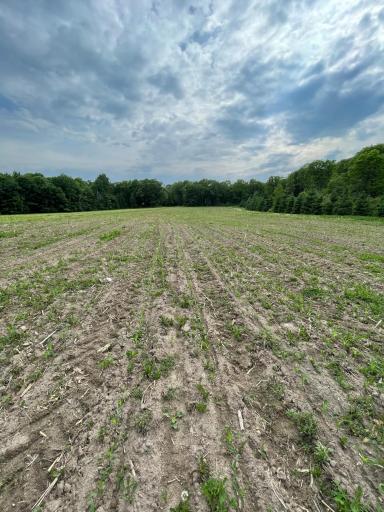 9991 61st Avenue SW, Motley, MN 56466