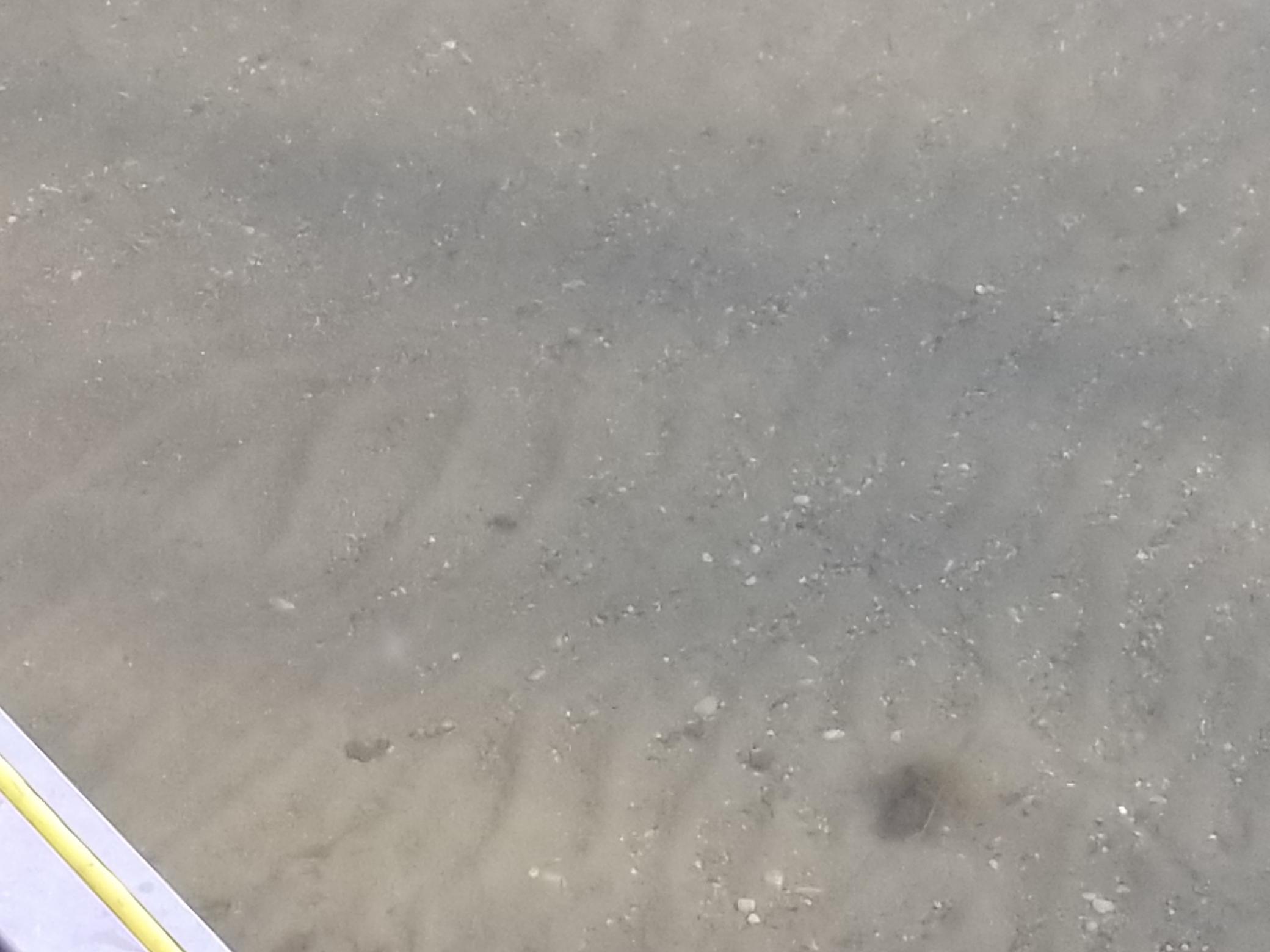 Sandy bottom