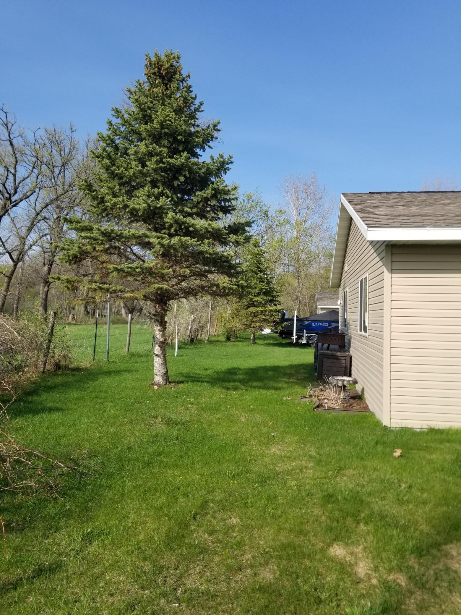 Back yard