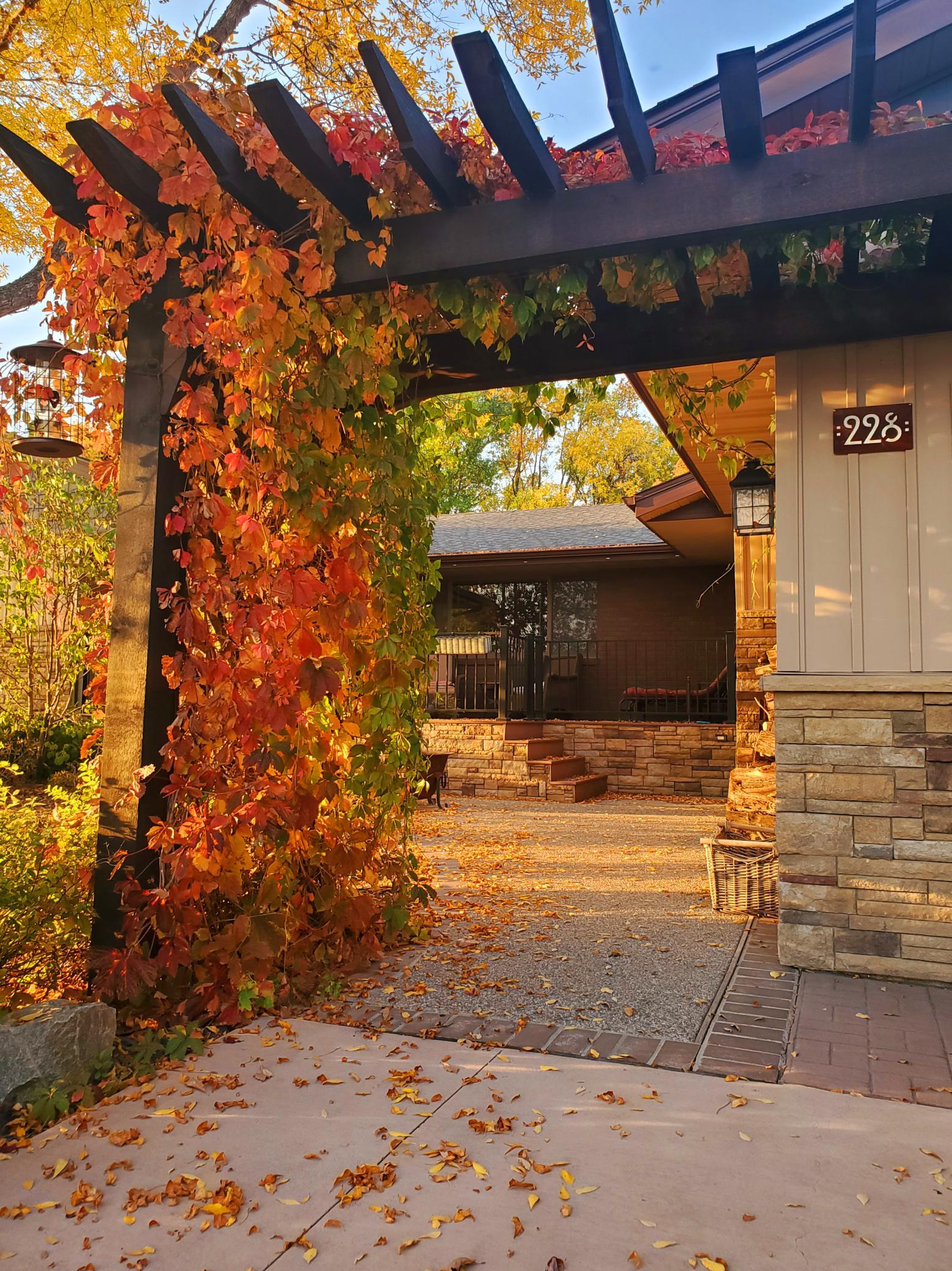 Fall Courtyard
