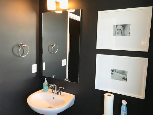 Powder room on the main floor has a cute flair with name brand faucets and fixtures. Finishes will vary.