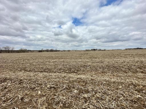 xxxx State Hwy 56, Le Roy, MN 55951
