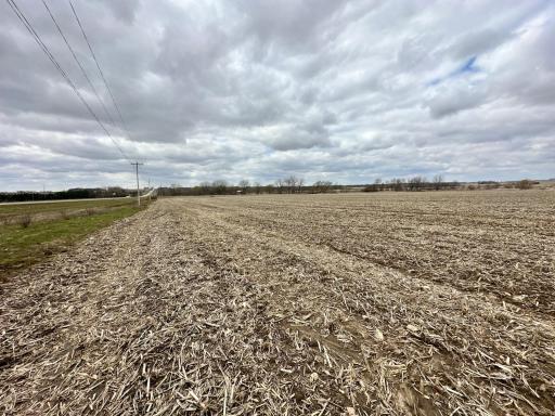 xxxx State Hwy 56, Le Roy, MN 55951
